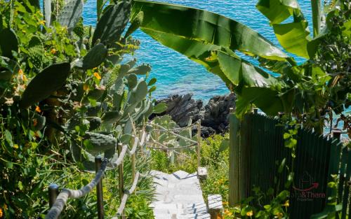 Varazze Apartment | New Open Space - WiFi - Smart TV - Sea at 2 minutes