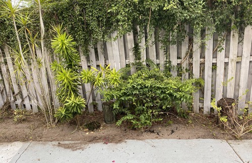 Fairgreen House | New Smyrna Beach Patio Home in a Culdasac