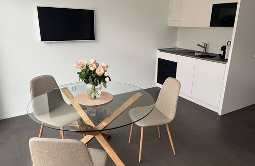 Aeschi bei Spiez Apartment | New studio at the foot of the Niesen - for connoisseurs looking for peace and quiet