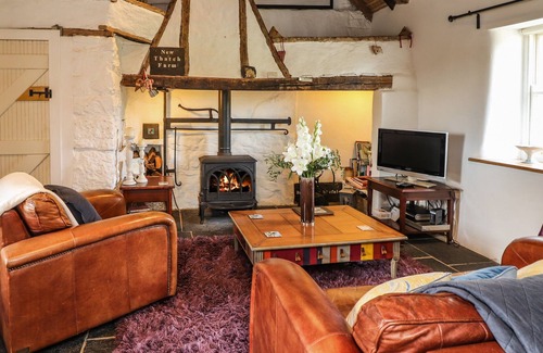 Knocklong Cottage | NEW THATCH FARM, family friendly in Knocklong, County Limerick