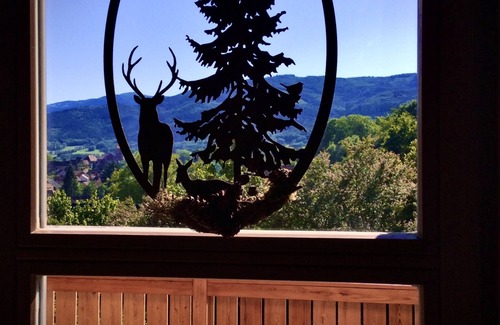 Osenbach Ski Chalet | NEW: THE SILBERRAIN CHALET (July 2019), fireplace, sauna, shared pool