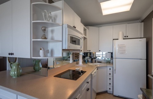 North Myrtle Beach Condo | Newly Listed Oceanfront Charming Luxury 1-Bedroom Condo at Cherry Grove Beach