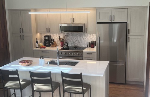 West End Condo | Newly Remodeled Mountain Contemporary 1 BR + Loft Aspen Condo