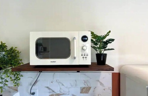 Bearss Plaza House | Newly Renovated Funky Eclectic Home