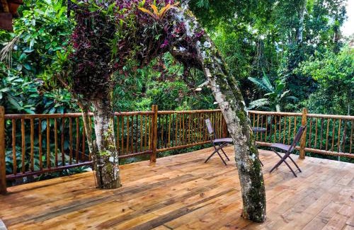 Ponte Branca House | News Hospedagem