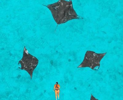Fonimagoodhoo Resort | NH Collection Maldives Reethi Resort