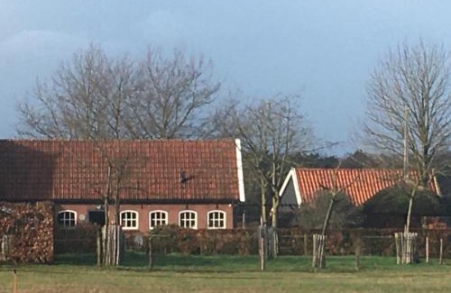 Municipality of Winterswijk House | "Ni-jland"