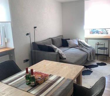 Lindenfels Apartment | Nibelungen 1 Zimmer Apartment