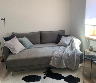 Lindenfels Apartment | Nibelungen 1 Zimmer Apartment