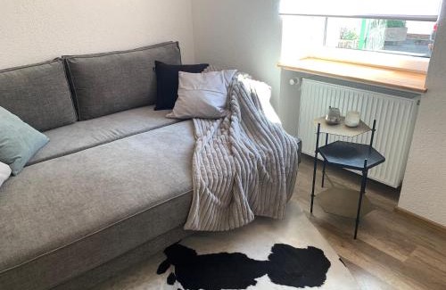 Lindenfels Apartment | Nibelungen 1 Zimmer Apartment