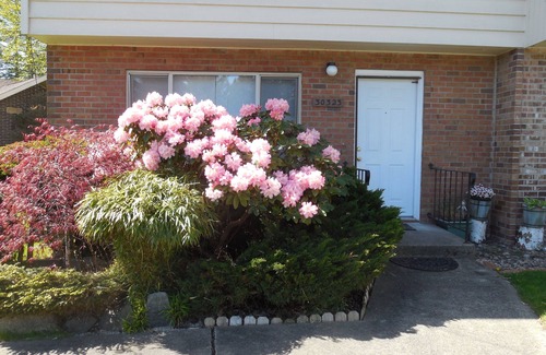Federal Way House | Nice 2 story 3 BR 1200s/f Townhome
