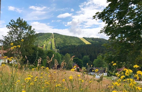 Harrachov Apartment | Nice apartment for 12 people with WIFI, TV, balcony, pets allowed and parking