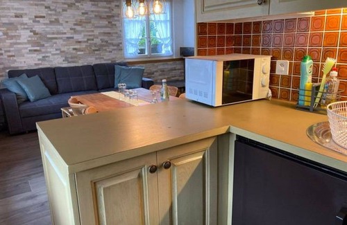 Ruedisbach Apartment | Nice apartment for 4 people with WIFI, TV, balcony and pets allowed