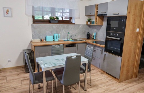 Harrachov House | Nice apartment in villa for 4 people with WIFI, TV and terrace