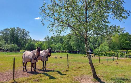 Munka-Ljungby House | Nice Home In Munka Ljungby