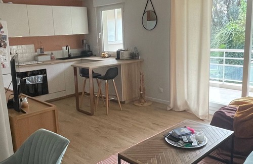 Saint-Laurent-du-Var Apartment | Nice T2 quiet terrace, pool, near Nice