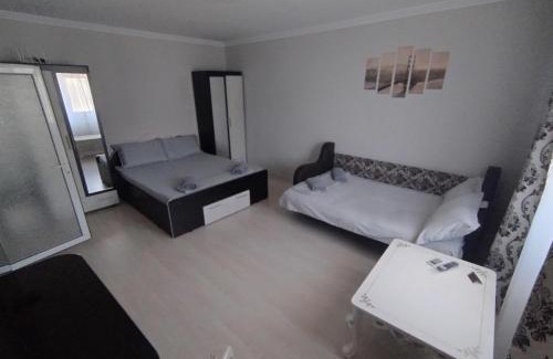 Braila Apartment | Nicoreb apartament 2