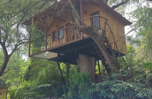 Tuxcueca House | Nido Ecoluxury Treehouse - Casa de Arbol