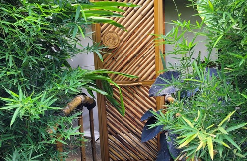 Tuxcueca House | Nido Ecoluxury Treehouse - Casa de Arbol
