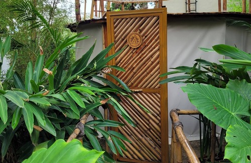 Tuxcueca House | Nido Ecoluxury Treehouse - Casa de Arbol
