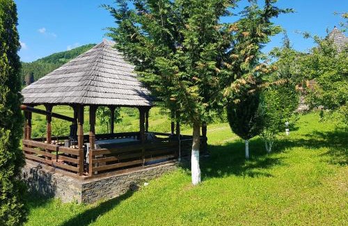 Poienile Izei House | Ninga Rai