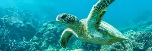 Exmouth House | Ningaloo Lodge Exmouth