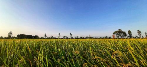Yen Khanh House | Ninh Binh Riverside Family Homestay