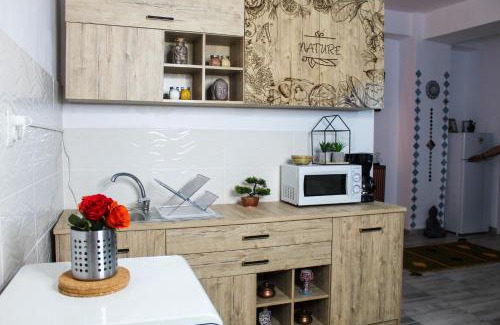 Sector 2 Apartment | Nirvana Apartament