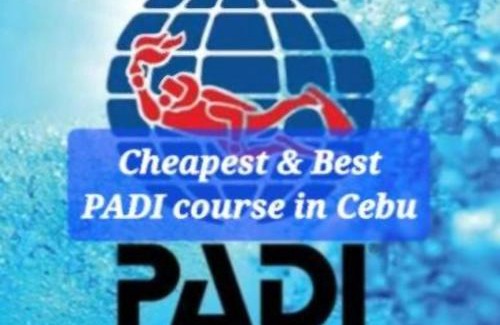 Basdiot Resort | Nirvana resort & dive centre - Moalboal