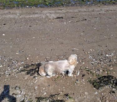 Prestonpans Other | No 1 The Glen