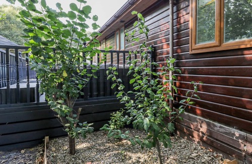 Wilberfoss Cabin | NO. 77- HONEY BEE LODGE, pet friendly, with hot tub in Wilberfoss