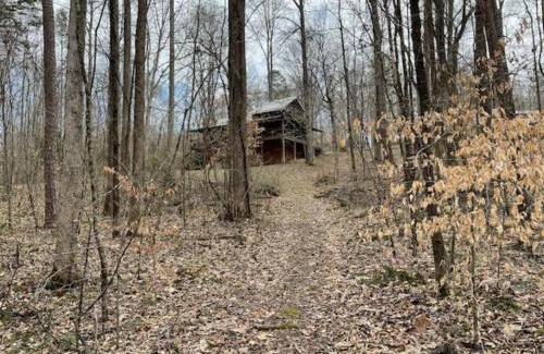 Byrdstown Ski Chalet | No Wake Zone