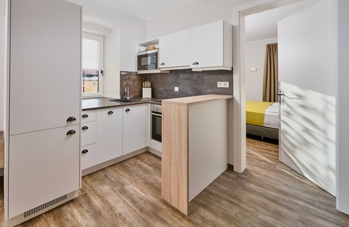 Maxglan Villa | Noble, fully equipped apartment centrally located newly renovated