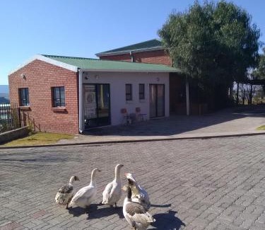 Maseru Bed & Breakfast | Noble Hearts Bed & Breakfast