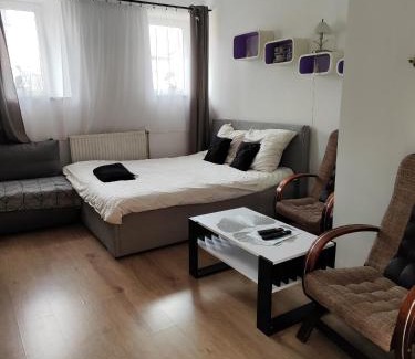 Cieplice Apartment | Noclegi u Gosi
