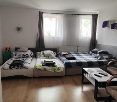 Cieplice Apartment | Noclegi u Gosi