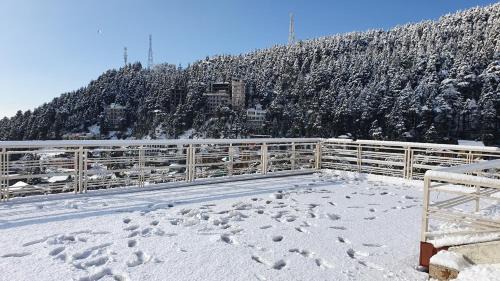 Bhagsu Nag Hotel | Nomadic Inn
