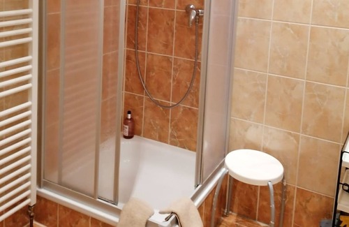Blasewitz Apartment | Non smoking single room with garden view