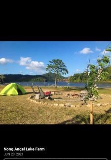 Taytay Other | Nongangellakefarm
