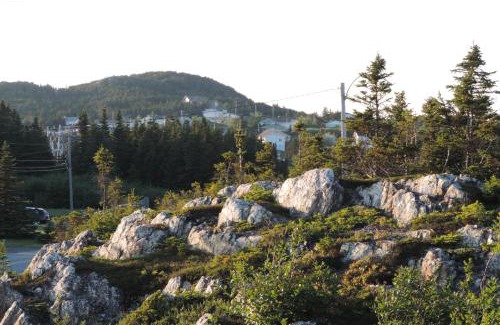 Twillingate Hotel | North 99 Motel
