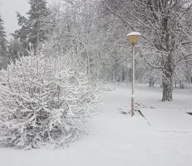 Rovaniemi House | Northern Haven