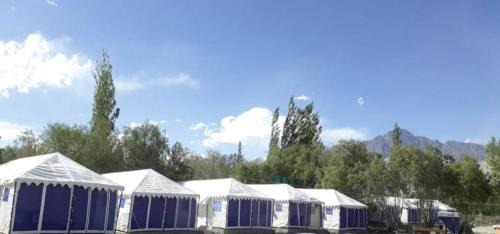 Hundur Other | Northern Valley Camp - Nubra