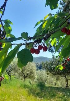 Monteleone Sabino House | Nostro Paradiso