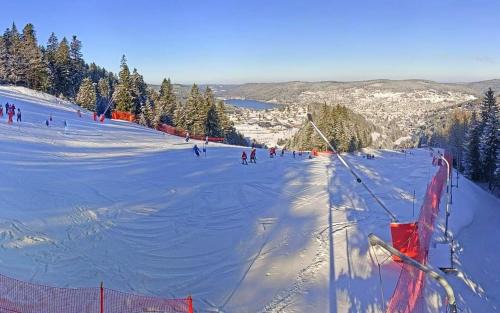 Xonrupt-Longemer Ski Chalet | Nouveau Chalet M.META 12 pers sauna,jacuzzi,billard