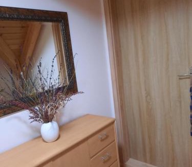 Benesov nad Cernou Apartment | Novohradky - Oáza klidu na samotě u lesa