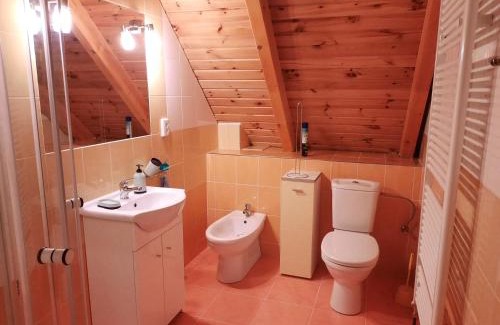 Benesov nad Cernou Apartment | Novohradky - Oáza klidu na samotě u lesa