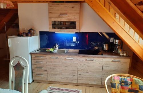 Benesov nad Cernou Apartment | Novohradky - Oáza klidu na samotě u lesa