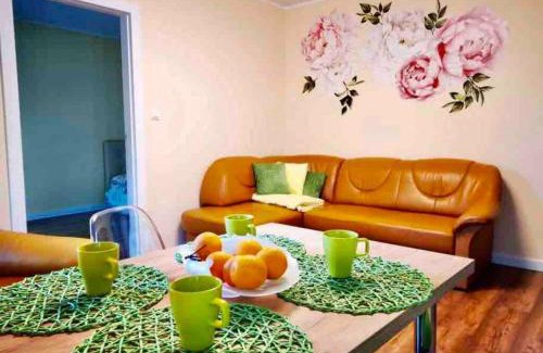 Lapalice Apartment | Nowy 2 pokojowy apartament w samym centrum Kartuz, 100m do Rynku
