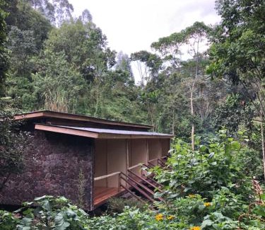 Western Region Hotel | Nshongi Camp