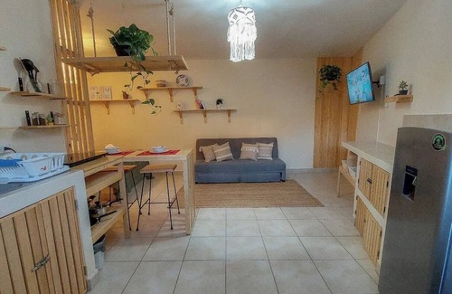 Centro Villa | Nuevo Lo Orgánico y Estudio
